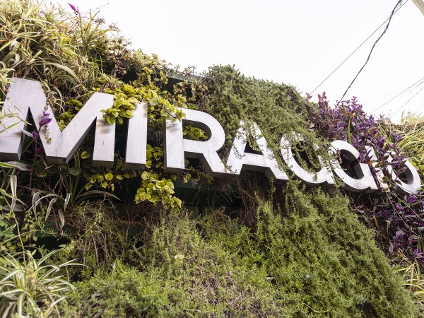 2 Dormitorios - Edificio Miraggio